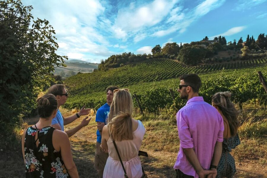 Siena: Organic Winery Tour and Wine Tasting - Should you book the La Lastra wine tour?