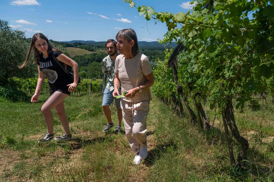 Siena: Organic Winery Tour and Wine Tasting - Starting among the vines