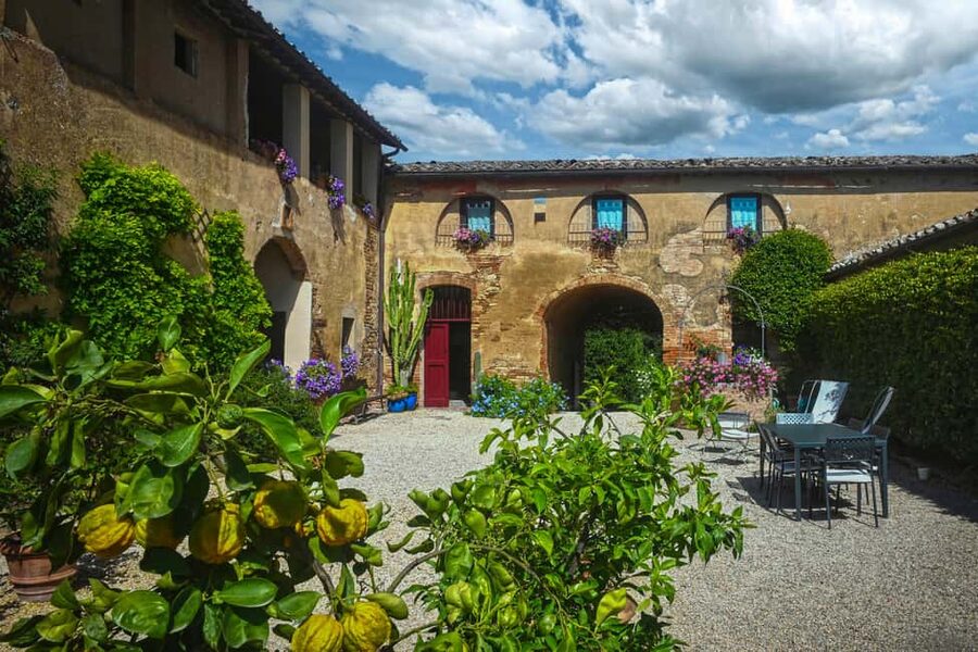 Siena: Organic Winery Tour and Wine Tasting - Five wines in the tasting room