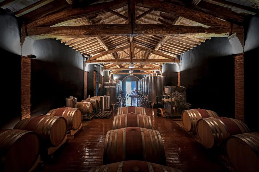 Siena: Organic Winery Tour and Wine Tasting - What the small-group setting changes