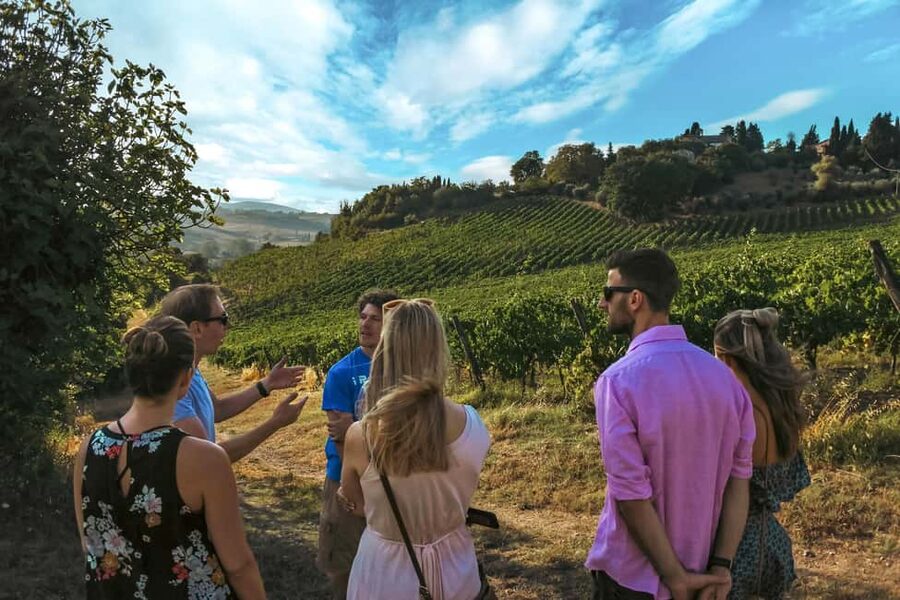 Siena: Organic Winery Tour and Wine Tasting - Seeing the cellar from grape to bottle