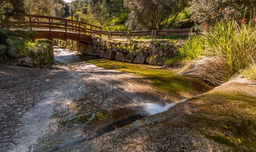 Silves, Caldas and Monchique Wine Tasting: Full Day Tour - Why this route makes a good Algarve day trip