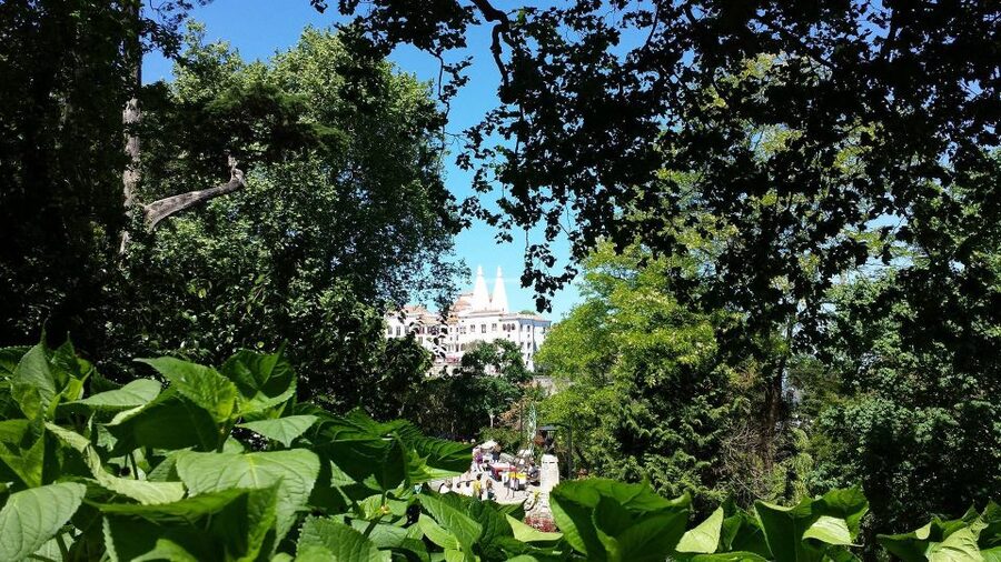 Sintra: Full-Day Tour from Lisbon with Wine Tasting - Sintra village, churches, fountains, and palace views