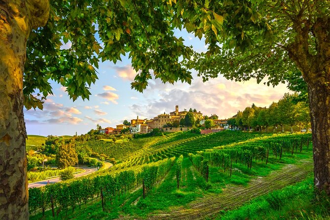 Small-Group Barolo Wine Tasting, Alba & UNESCO Piedmont Hills - Alba: medieval streets and a serious lunch stop