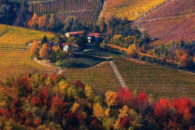 Small-Group Barolo Wine Tasting, Alba & UNESCO Piedmont Hills - FAQ