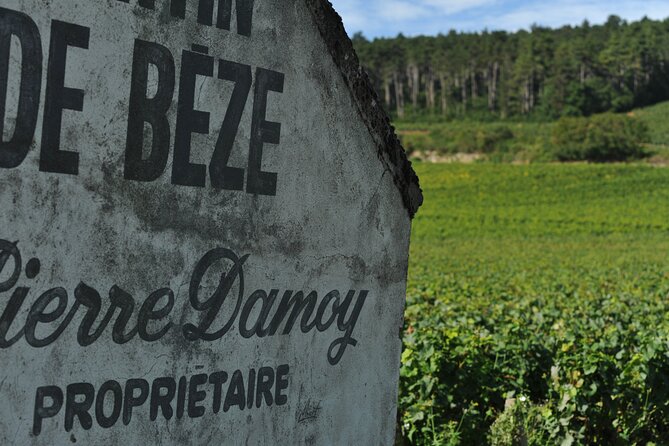 Small group Burgundy tour of Beaune with Wine Tasting from Dijon - Is $105.22 a fair price?