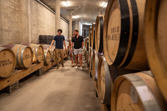 Small Group Douro Valley Wine Tour with Lunch and Cruise - The Douro cruise near Pinhão