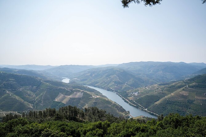 Small Group Douro Valley Wine Tour with Lunch and Cruise - Second estate: a different side of Douro wine