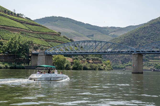 Small Group Douro Valley Wine Tour with Lunch and Cruise - First estate: tasting, cellars, and a generous lunch