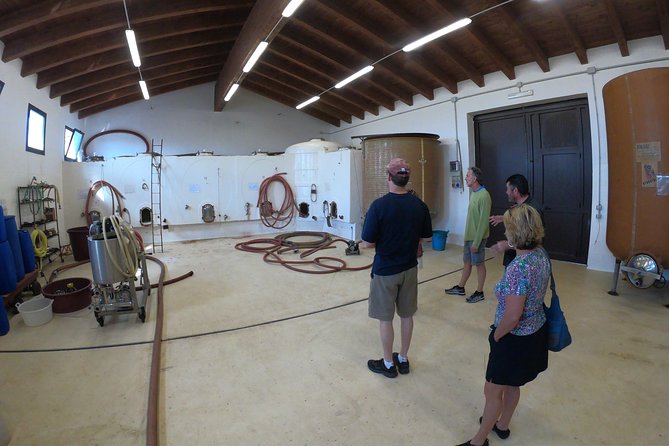 Small-Group Food and Wine Tour from Cagliari - Leaving Cagliari for the Parteolla countryside