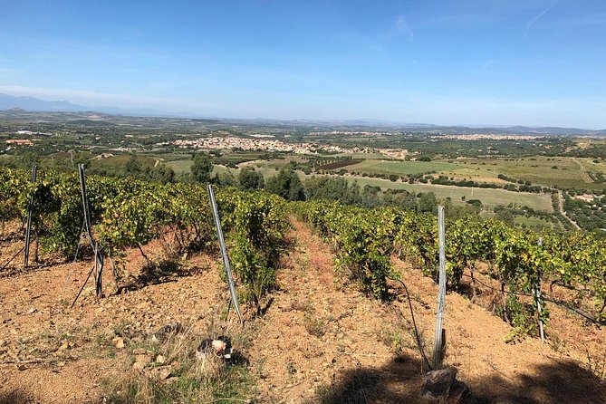 Small-Group Food and Wine Tour from Cagliari - What can change from one departure to another?