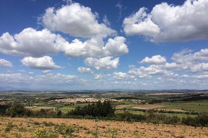 Small-Group Food and Wine Tour from Cagliari - Who will enjoy this Cagliari wine tour?