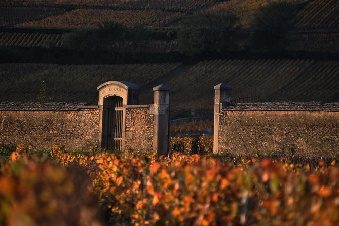 Small-Group Full-Day Tour of Côte de Nuits, Côte de Beaune Vineyards and Beaune Historical District - The second tasting: a different side of Burgundy