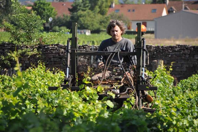 Small-Group Full-Day Tour of Côte de Nuits, Côte de Beaune Vineyards and Beaune Historical District - The guides are a major part of the value