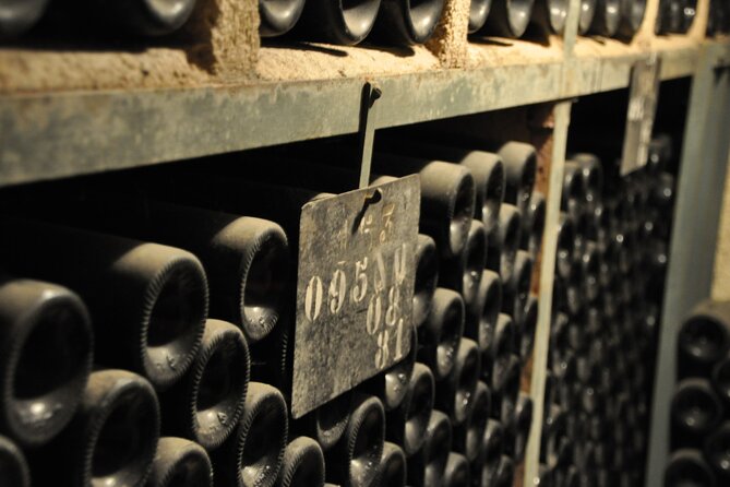 Small-Group Full-Day Tour of Côte de Nuits, Côte de Beaune Vineyards and Beaune Historical District - The first winery: family character and personal contact