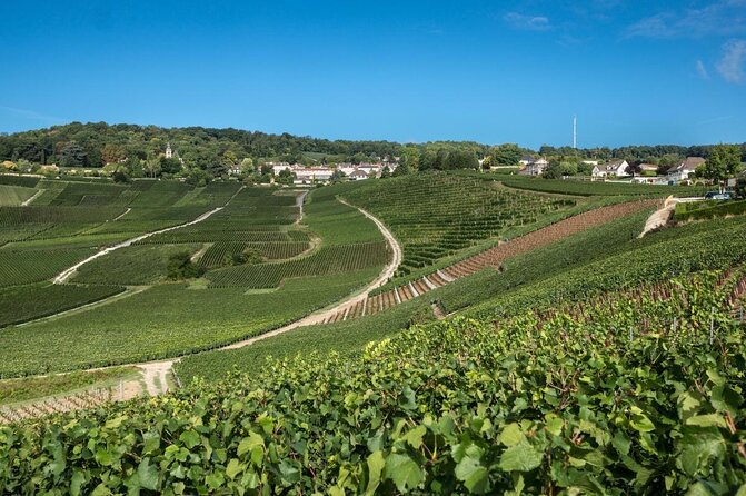 Small Group - Half Day Champagne Tour - Visit of 2 Small Producers/Growers - What the four-hour Champagne tour is really about