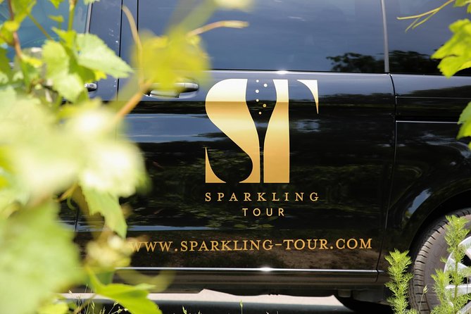 Small Group - Half Day Champagne Tour - Visit of 2 Small Producers/Growers - Morning or afternoon: which departure should you choose?