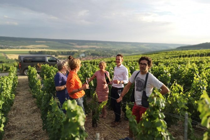 Small Group - Half Day Champagne Tour - Visit of 2 Small Producers/Growers - What could disappoint you