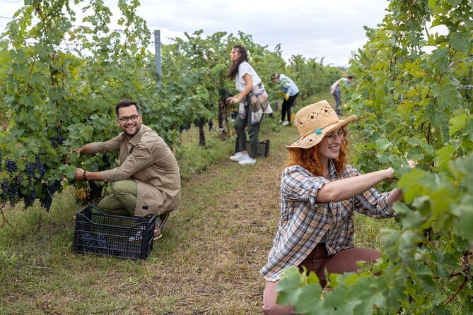 Small Group Pasta Making Class Wine Tasting in a Tuscan Castle - Is $157.28 a fair price?