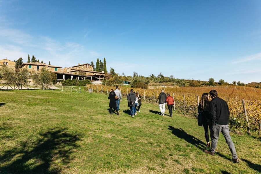 SMALL GROUP Tuscany Wine Tasting Safaris with Lunch / Dinner - The Six-Hour Morning Option