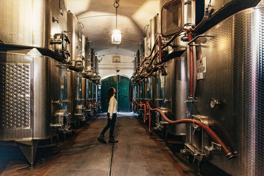 SMALL GROUP Tuscany Wine Tasting Safaris with Lunch / Dinner - The Nine-Hour Full-Day Route