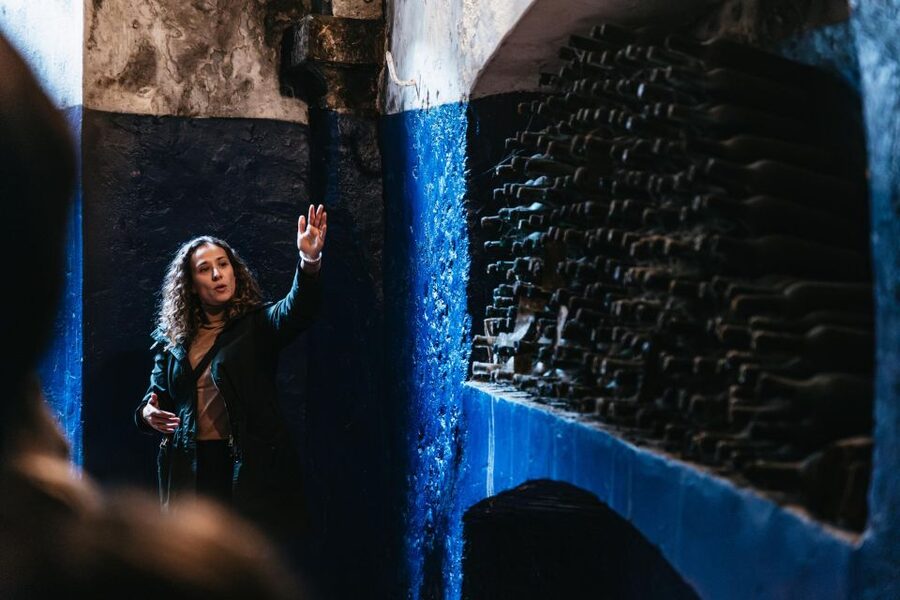 SMALL GROUP Tuscany Wine Tasting Safaris with Lunch / Dinner - Food, Allergies, and Who Should Book