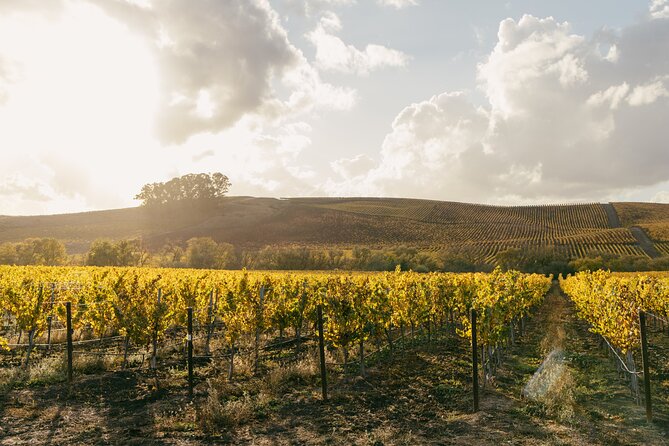 Small Group: Ultimate Napa & Sonoma Wine Tour from San Francisco - Sonoma Plaza Is the Day’s Best Free-Time Stop