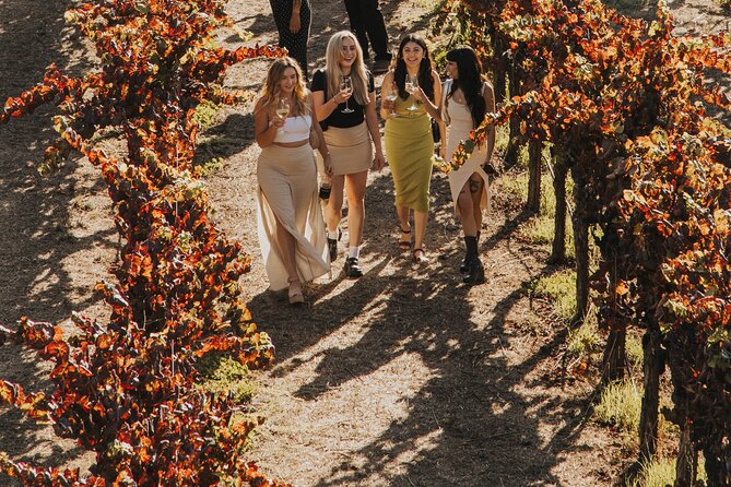 Small Group: Ultimate Napa & Sonoma Wine Tour from San Francisco - The Ride Matters More Than You Might Expect