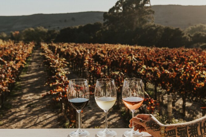 Small Group: Ultimate Napa & Sonoma Wine Tour from San Francisco - What the $179 Price Really Covers