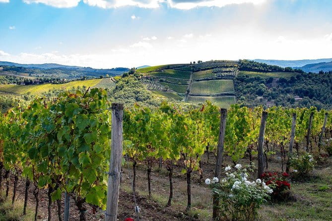 SMALL-GROUP Wine Safaris: Tuscan Wine Tasting Tours from Florence - At a glance