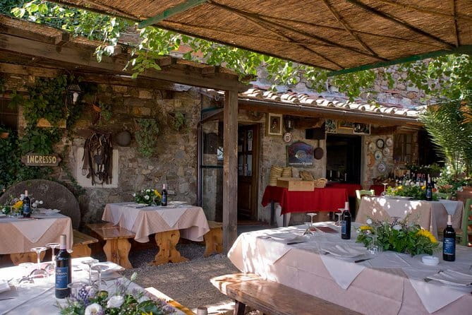 SMALL-GROUP Wine Safaris: Tuscan Wine Tasting Tours from Florence - Choosing between Chianti, Brunello, and sunset