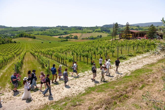 SMALL-GROUP Wine Safaris: Tuscan Wine Tasting Tours from Florence - What to pack and how to prepare