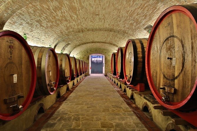SMALL-GROUP Wine Safaris: Tuscan Wine Tasting Tours from Florence - Wine tasting, explained without the lecture