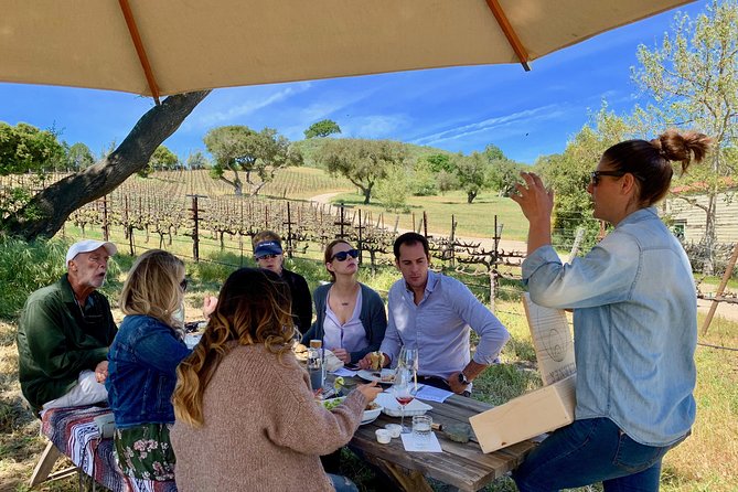 Small-Group Wine Tour to Private Locations in Santa Barbara - Meeting winemakers instead of standing at a counter