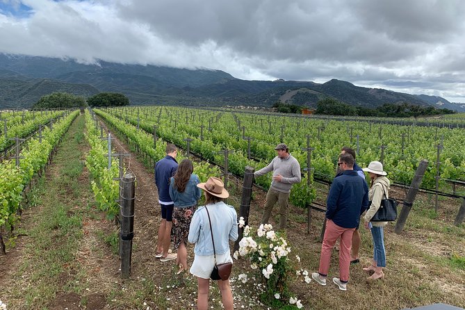 Small-Group Wine Tour to Private Locations in Santa Barbara - What could make the day less satisfying