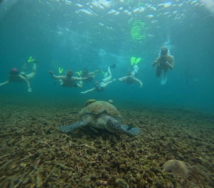 Snorkeling Tour with meals and BBQs - Cocktail - Sunset⭐⭐⭐⭐⭐ - Four snorkeling stops around Koh Tao