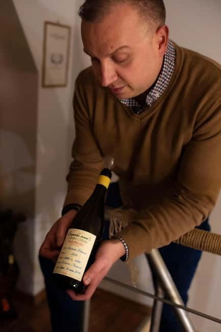 Sofia: Wine & Cheese Tasting Experience - Key points at a glance