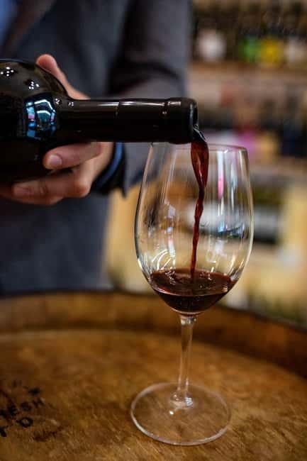 Sofia: Wine & Cheese Tasting Experience - Cheese, bread, and the practical side of tasting