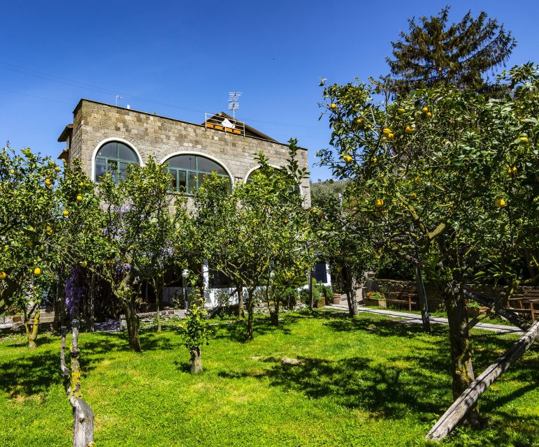 Sorrento: Coast E-Bike Tour with Limoncello Tasting - FAQ