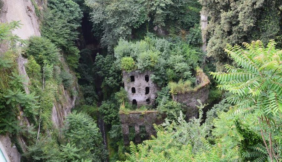 Sorrento: Guided Walking Tour & Limoncello Tasting - Price, timing, and what you get for $41