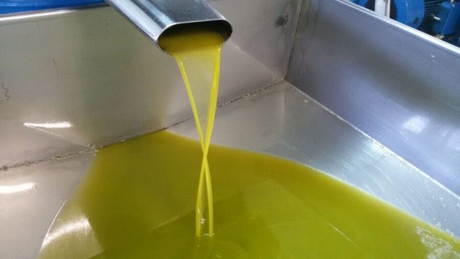 Sorrento: Lemon, Olive Oil and Wine Tasting Tour with Lunch - What makes this farm visit worth your time