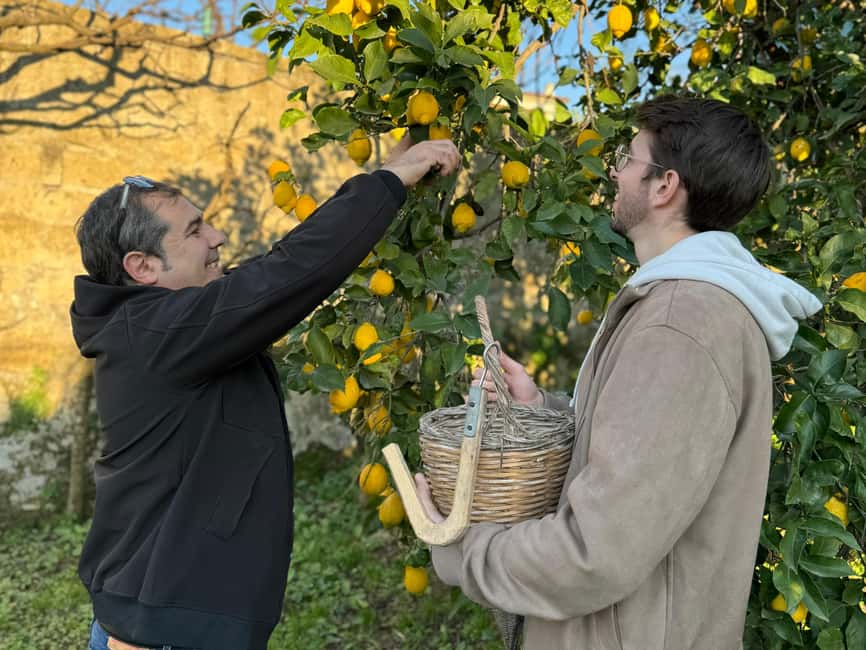 Sorrento: Lemon Picking Tour with Limoncello Tasting - The guides make the difference