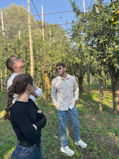 Sorrento: Lemon Picking Tour with Limoncello Tasting - Who will enjoy this farm visit most?