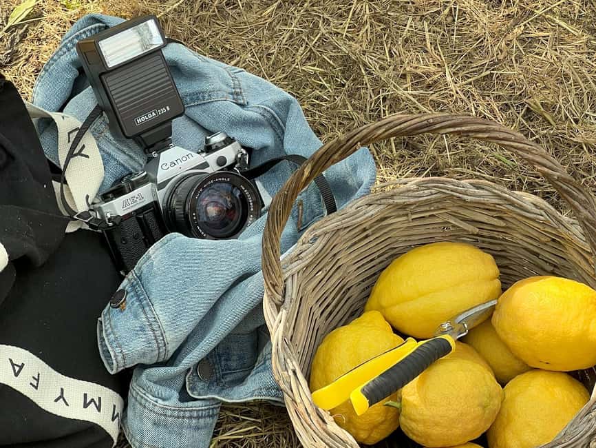 Sorrento: Lemon Picking Tour with Limoncello Tasting - Walking beneath the old lemon trees