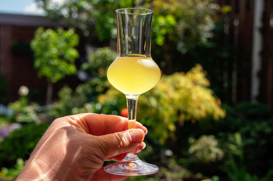 SORRENTO: Limoncello Making And Tasting Experience - The tasting: fresh limoncello and lemon tiramisu