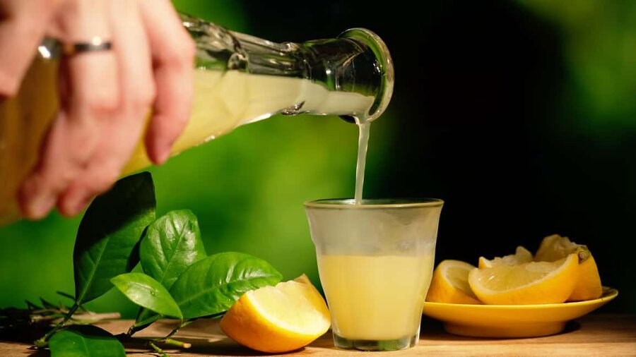 SORRENTO: Limoncello Making And Tasting Experience - Is $70 good value?