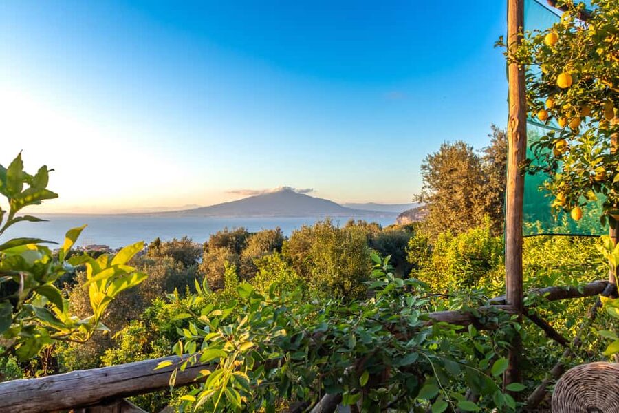 SORRENTO: Limoncello Making And Tasting Experience - Should you book the Sorrento limoncello class?
