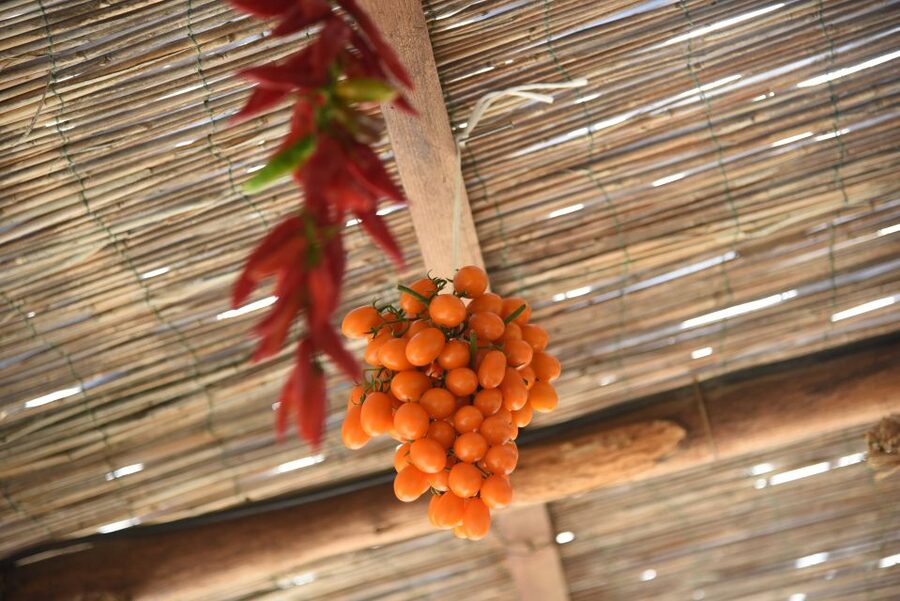 Sorrento: Pizza Lesson, Wine, and Limoncello at a Local Farm - From your pizza to a full farmhouse dinner