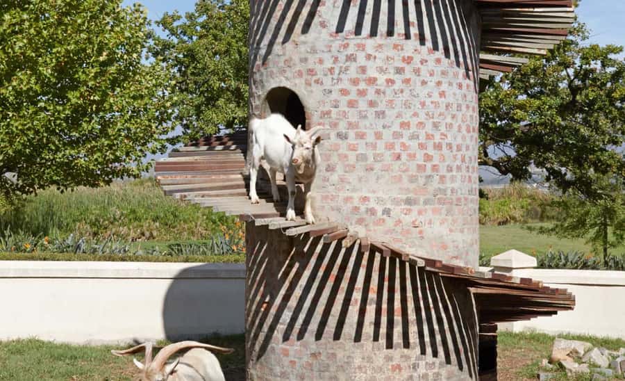 Stellenbosch: Half-Day Wine Tour - The second vineyard: biltong, chocolate, and French influence