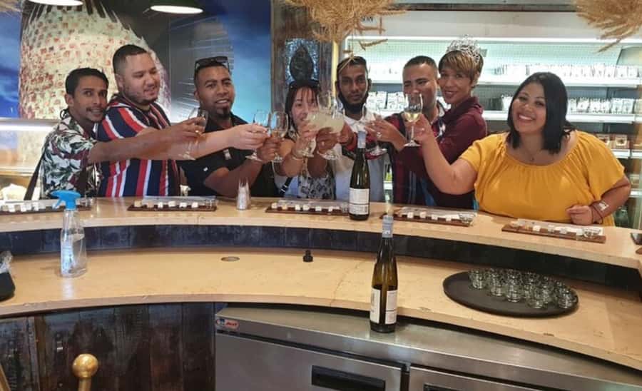Stellenbosch: Half-Day Wine Tour - Stellenbosch in 30 minutes
